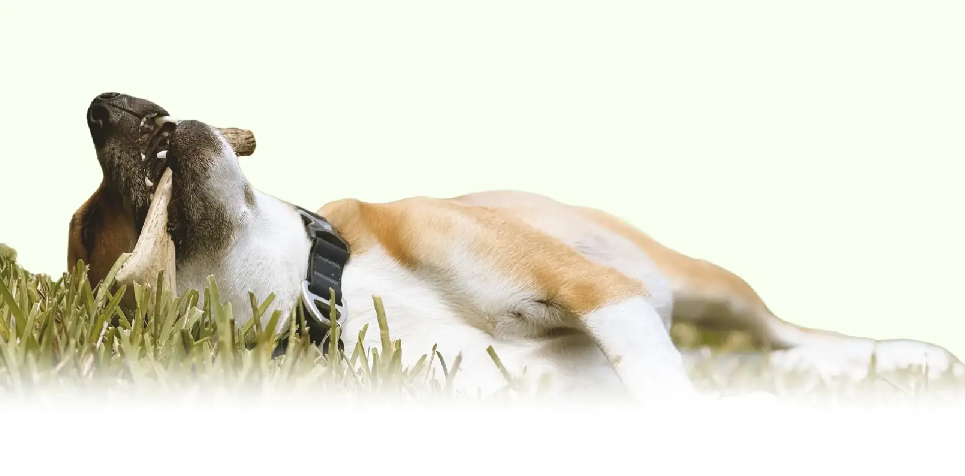 This is for owners who want results - and are ready to follow through.