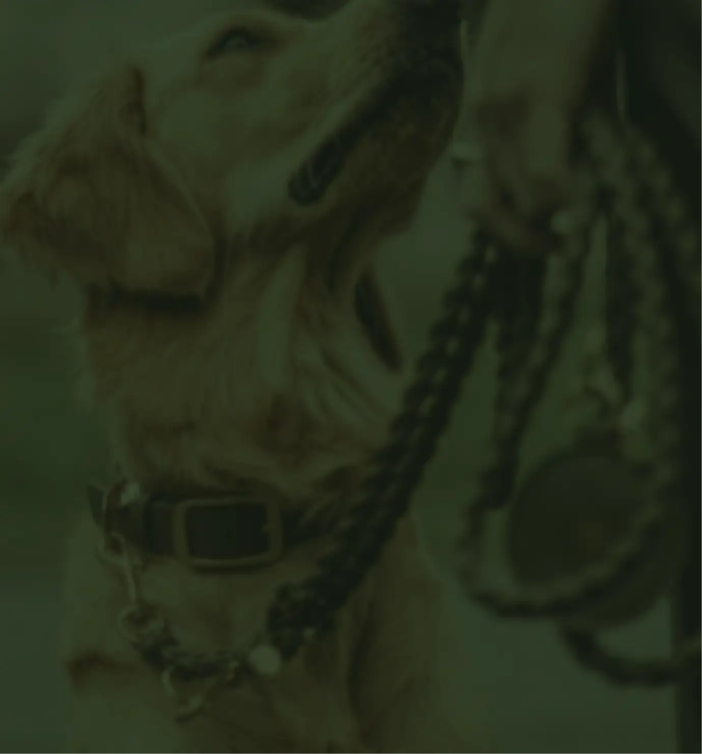 Here's what happens next