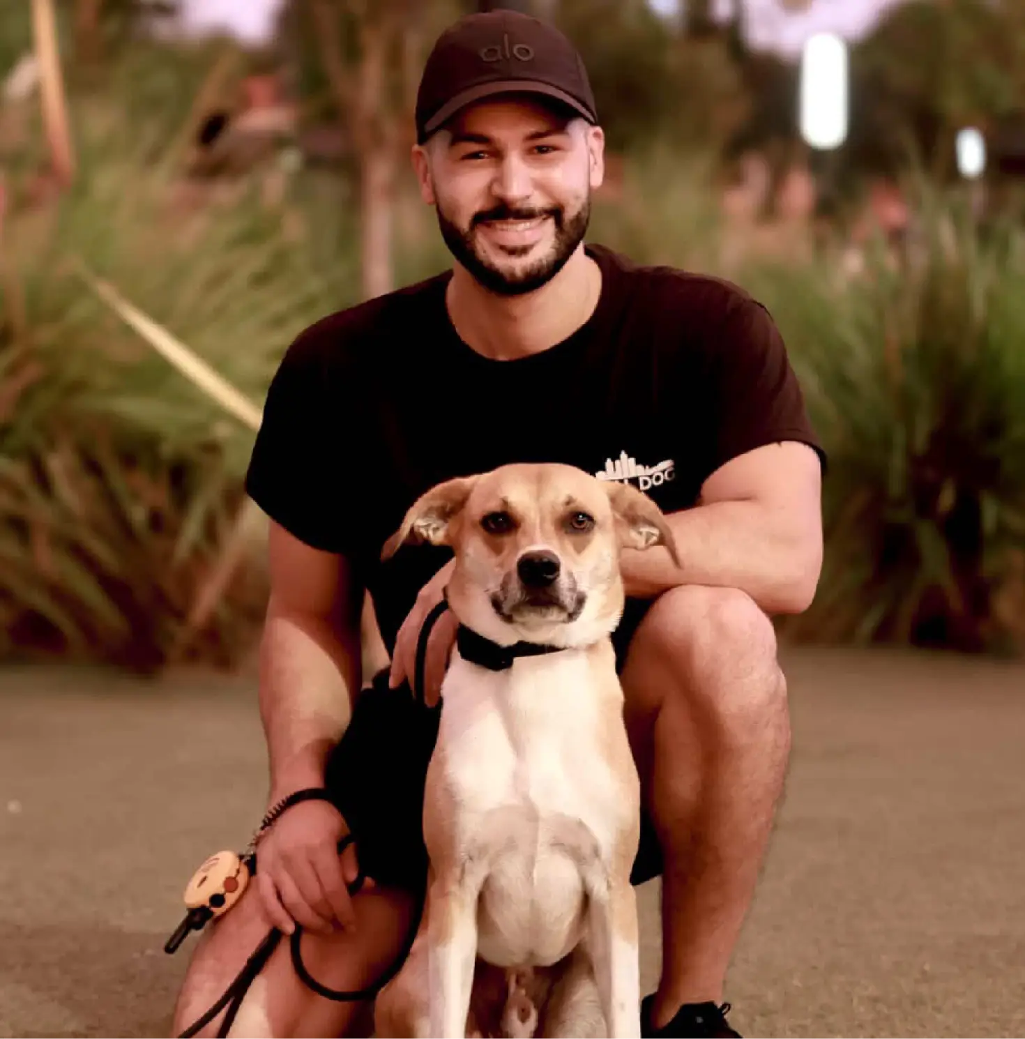 Apply for training or join the private waitlist.