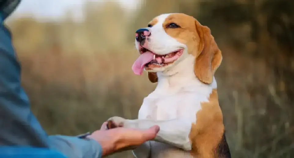 The tools matter. So does how you use them.