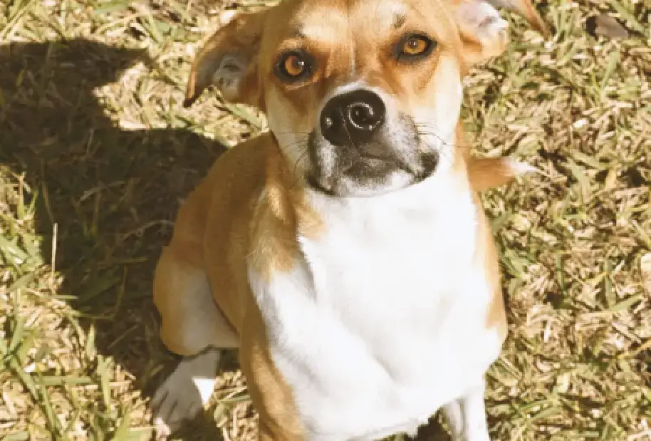 Not first-come, first-served.